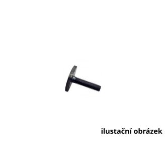 Rögzítő csavar 20 x 20, M6 x 35 mm, THULE